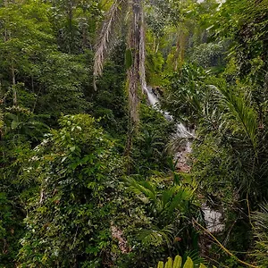 The Sebali 5*, Ubud Indonesia